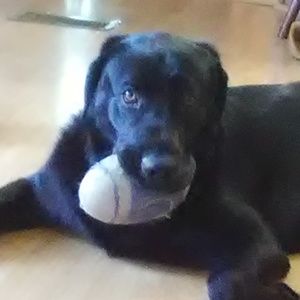 Meet your Posher, Cody